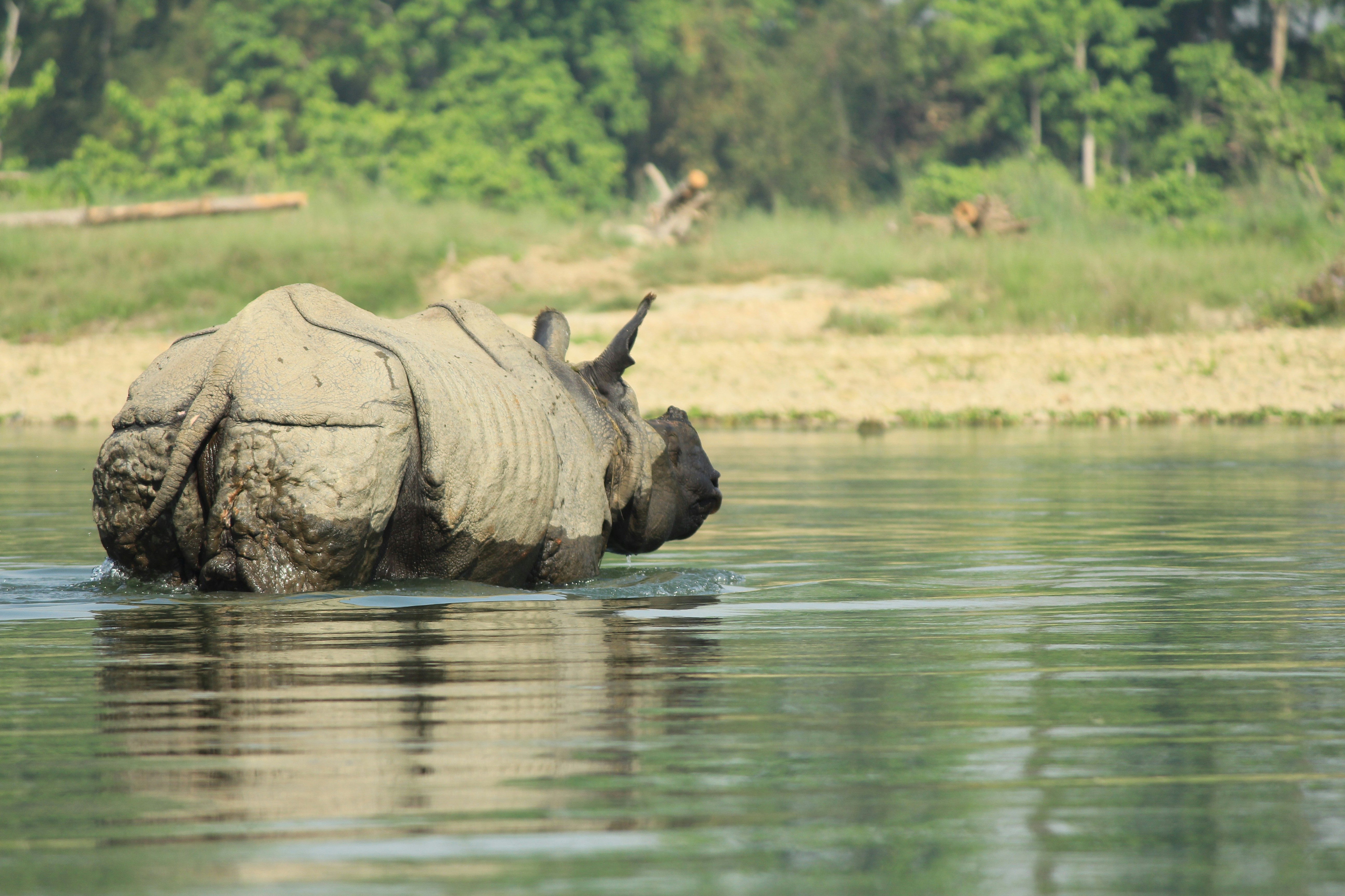 9N/10D Kathmandu Pokhara Chitwan Lumbini