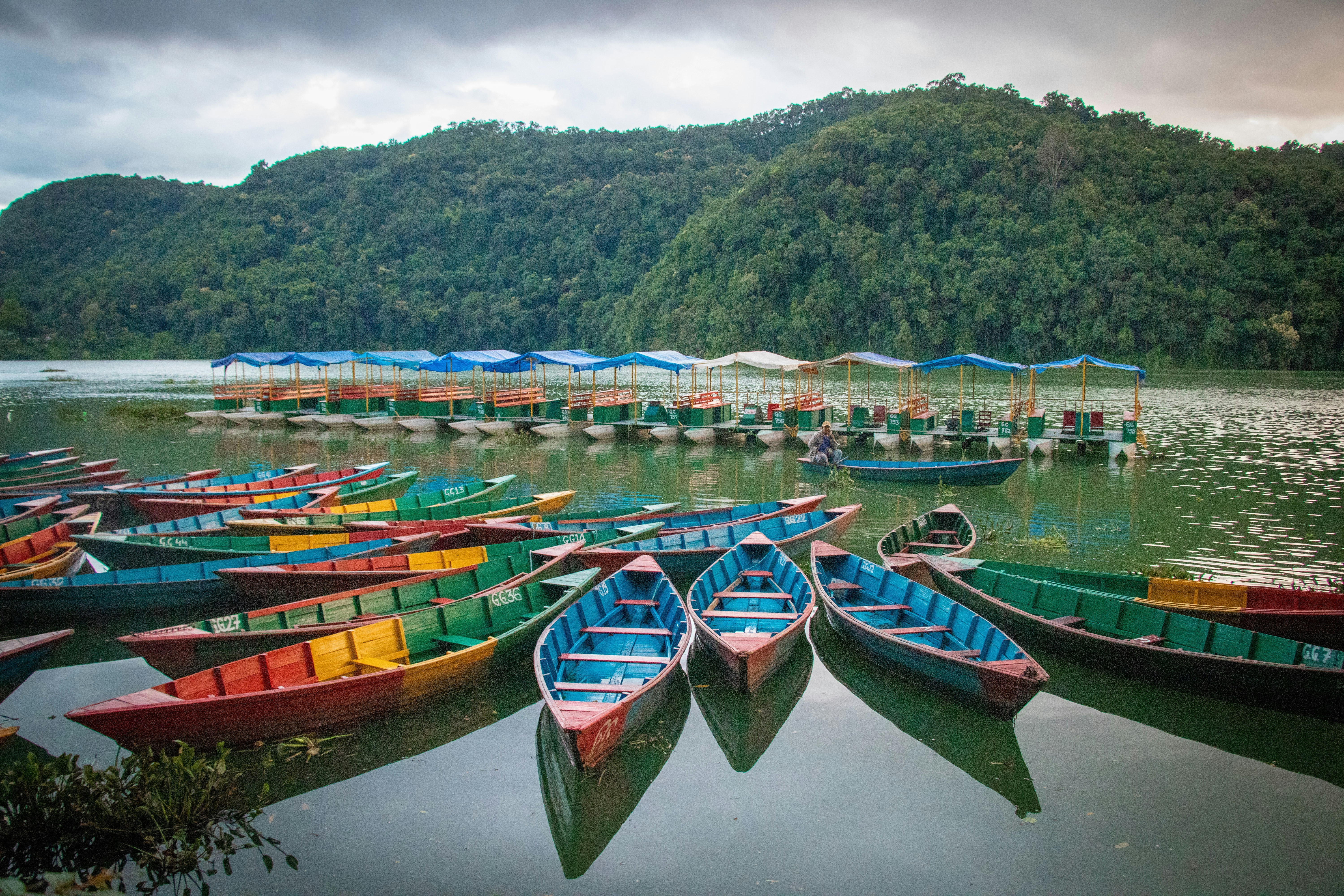 7N/8D Kathmandu Pokhara Chitwan